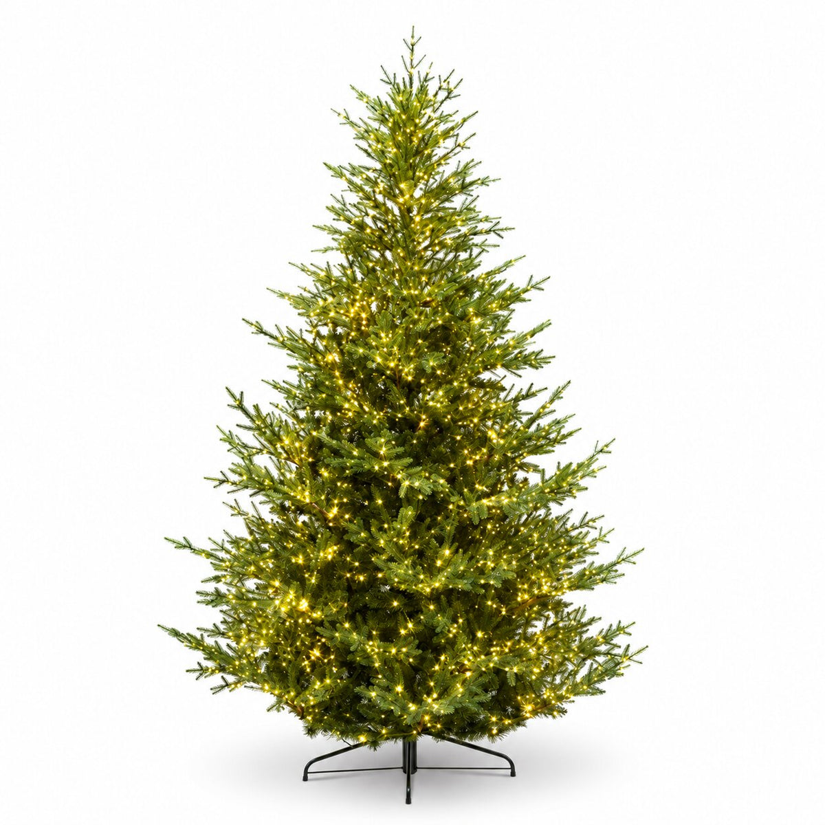 ABETE DI NORDMANN 210CM 3602T PE-PV 14970002