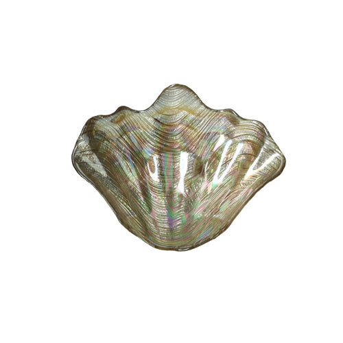 CIOTOLA CHAMPAGNE "CONCHIGLIA" 40606 BRANDANI