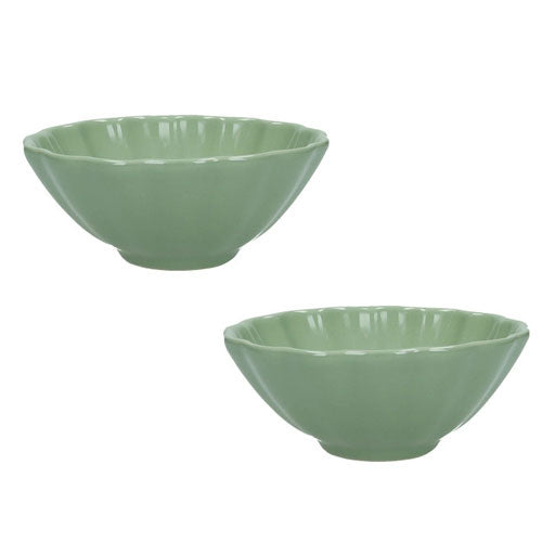 CIOTOLA 2 PZ SALVIA "CALIPSO" 51447 BRANDANI