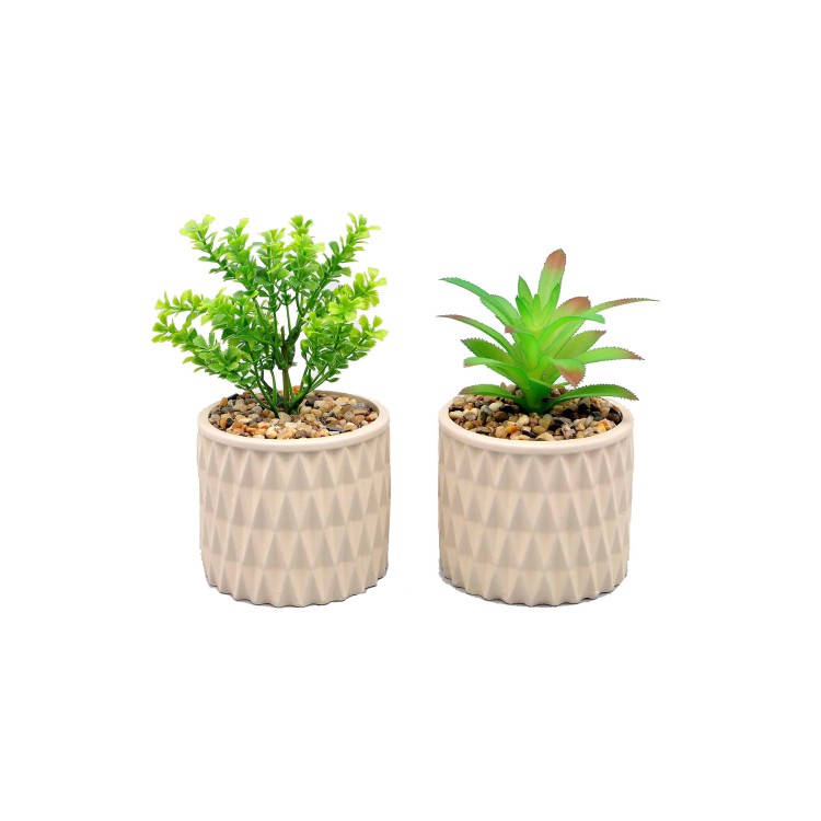 VASETTO CON PIANTINA - TYPE A - 16 CM - TORTORA VASETTO CON PIANTINA - TYPE A - 16 CM - TORTORA