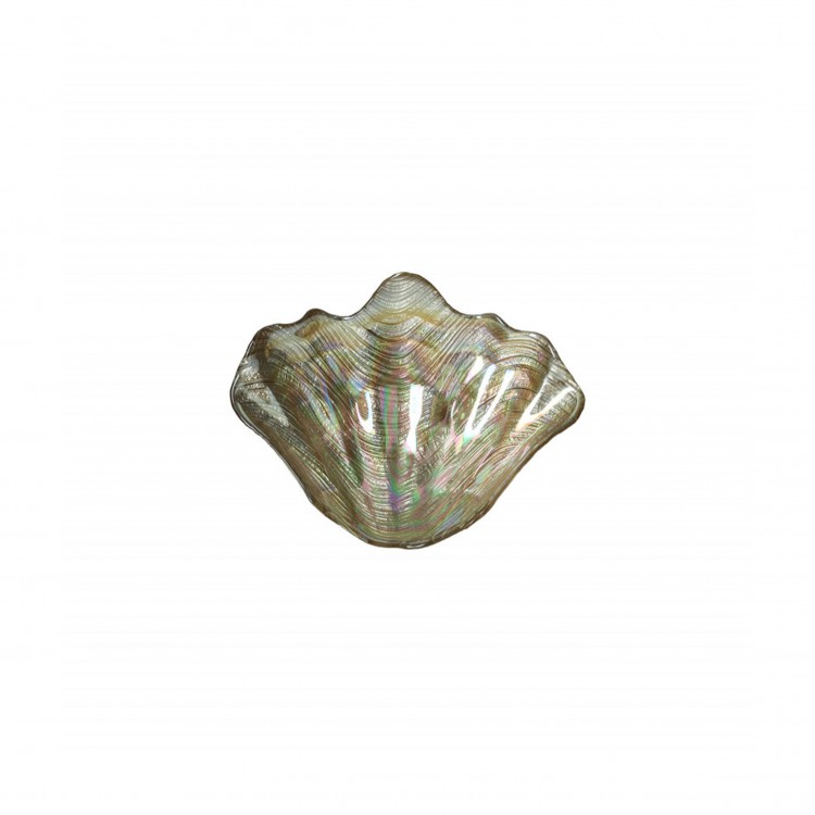 CIOTOLA - CONCHIGLIA - 20 CM - MADREPERLA - CHAMPAGNE - BRANDANI