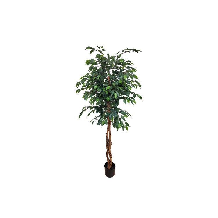 PIANTA ARTIFICIALE - 180 CM - FICUS