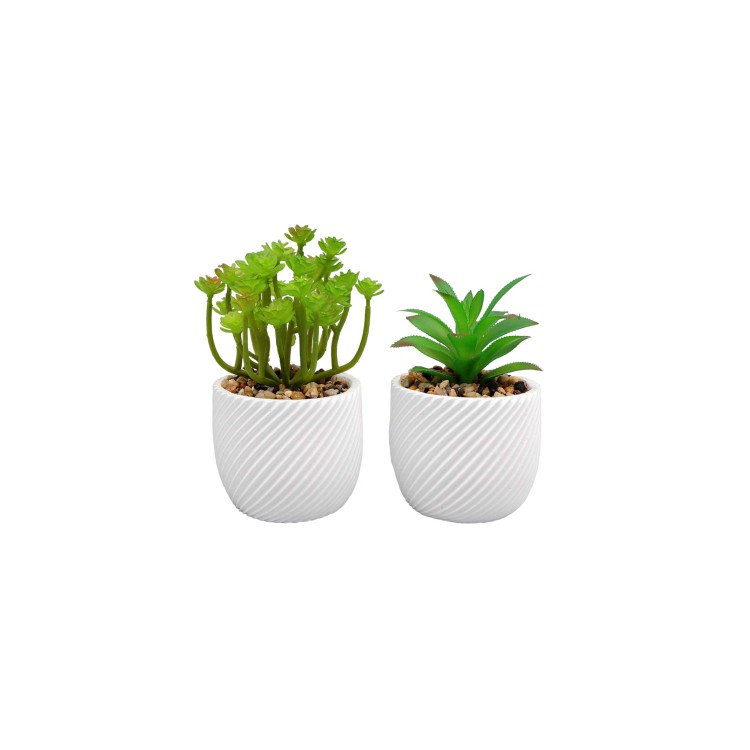 VASETTO CON PIANTINA - WRY - 16 CM - BIANCO VASETTO CON PIANTINA - WRY - 16 CM - BIANCO