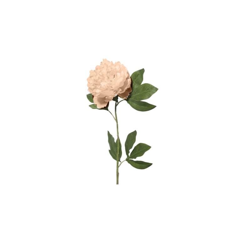 PEONIA - 74 CM - TORTORA PEONIA - 74 CM - TORTORA