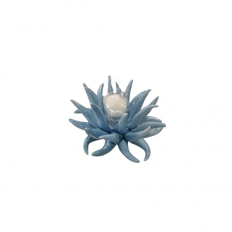 CANDELA - PICCOLA - AZZURRO - ANEMONE- CLIFF