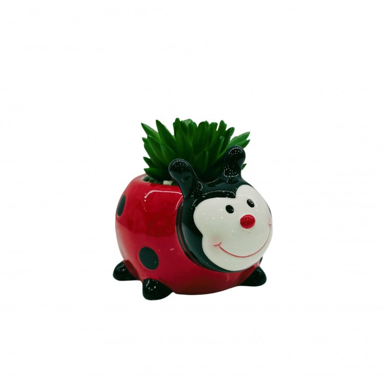 COCCINELLA CON PIANTINA COCCINELLA CON PIANTINA