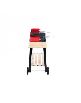 BARBECUE - RETTANGOLARE - UN RIPIANO