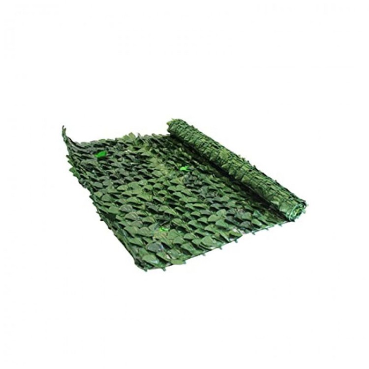 SIEPE - EDERA - EVERGREEN 1 X 3 MT