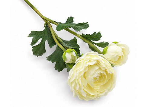 CAMELIA CON BOCCIOLO BIANCO CM 52 ST26990