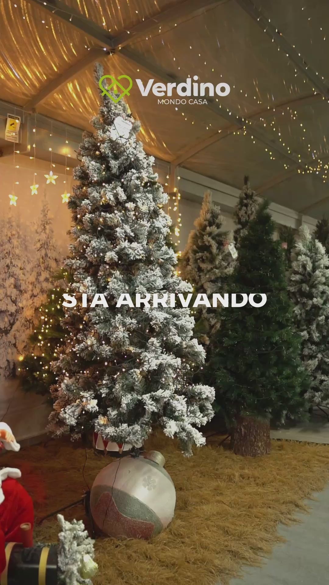 Carica il video: 